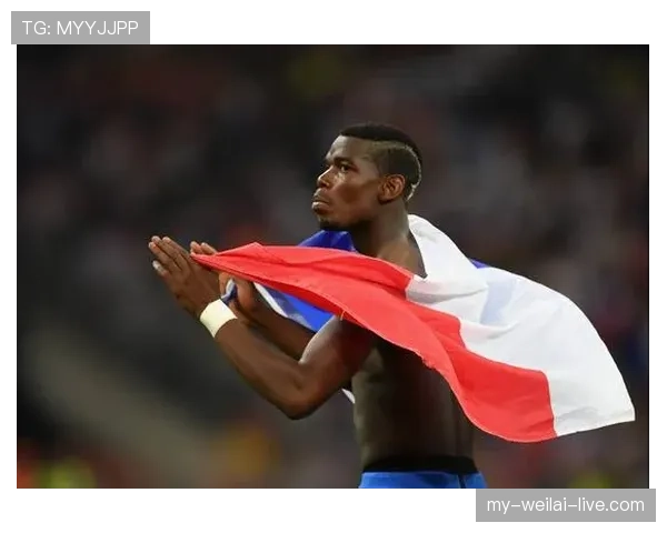 博格巴与坎特在法国中场体系中的调度角色分化趋势分析