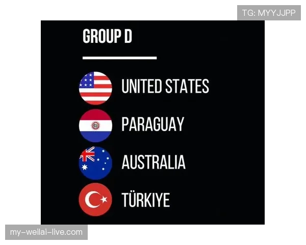 世界杯美国队D组中场配置解析