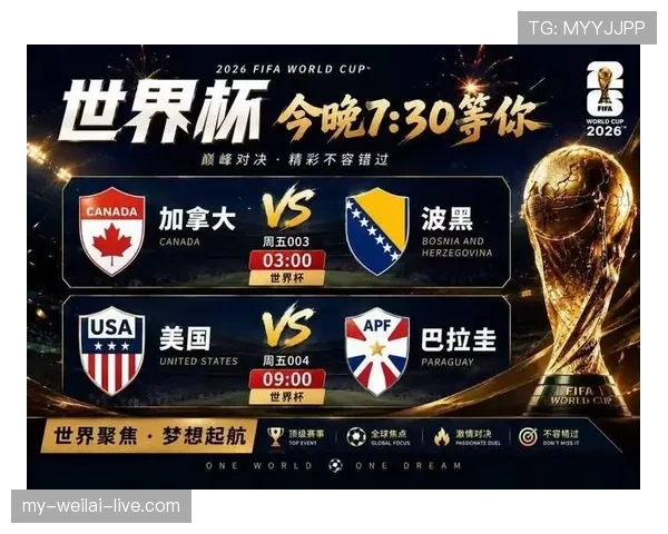 世界杯B组波黑能否成为黑马 世界杯B组波黑能否成为黑马